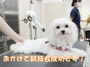 ２年生に向けて！先生の試技会♪②